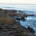 Cambria_0583 (November 02, 2013)